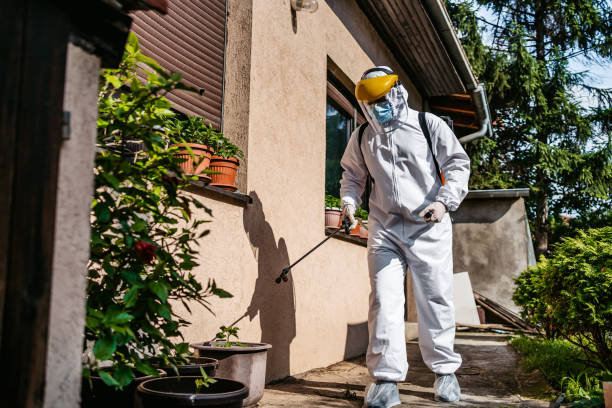 Best Bed Bug Extermination  in Web, AL