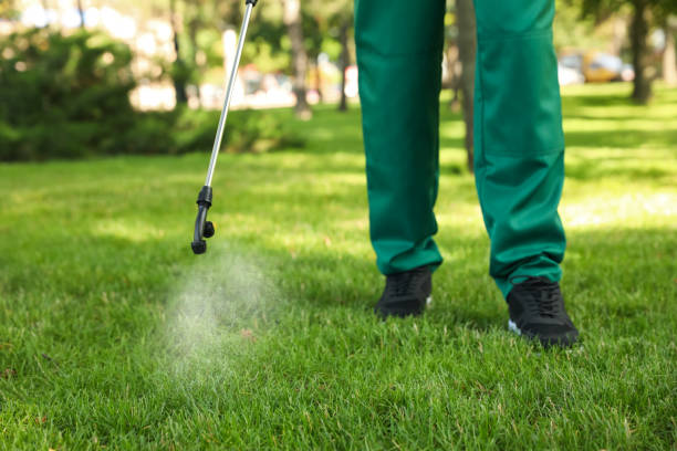 Best Commercial Pest Control Services  in Web, AL