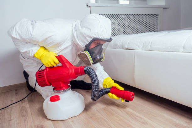 Best Pest Control Near Me  in Web, AL