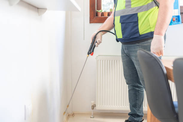 Best Termite Control Services  in Web, AL