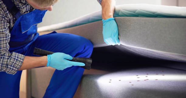 Reliable Web, AL Pest Control Solutions