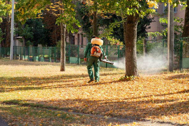 Best Pest Inspection Near Me  in Web, AL