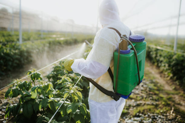 Best Residential Pest Control  in Web, AL